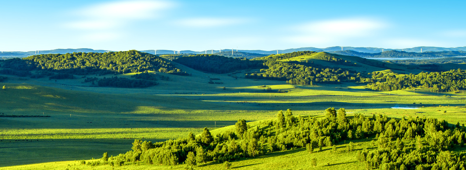溫州木材集團(tuán)有限公司 溫州木材集團(tuán)有限公司